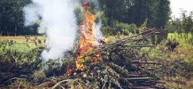 Information : Brûlage et usage du feu dans le Haut-Rhin
